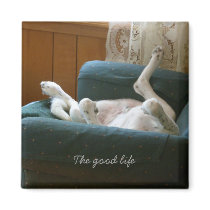 The good life magnet