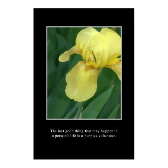 The good of a hospice volunteer poster
