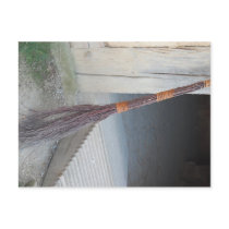 The Good 'ol Broom postcards