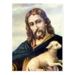 THE GOOD SHEPHERD c. 1900 Post Cards