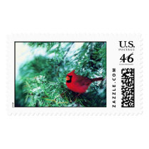 The Good Winter (Stamps)