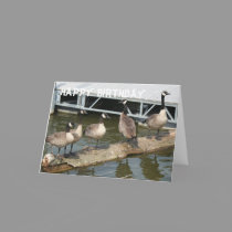 THE GOOSE GANG cards by sharpcreations THE GOOSE GANG cards