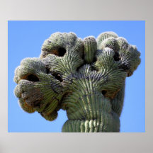 ~The Gordster~ Print