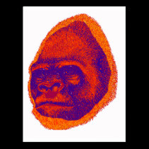 THE GORILLA 3D postcards