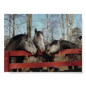 The Gossip Corner posters by mysticdream The Gossip Corner posters