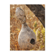 The Gourd Birdhouse Postcard