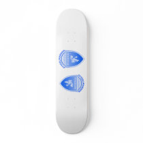 the Governor Svalbard, Norway skateboards