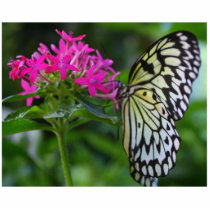 The grace of a butterfly photo sculptures by DebRoelle The grace of a butterfly photo sculptures