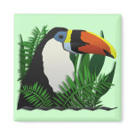 The Grand Toucan