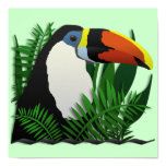 The Grand Toucan