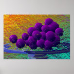 The Grapes of Math Poster