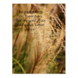 The grass withers/Pampas grass ScripturePostcard postcards