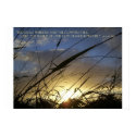 The Grass Withers posters