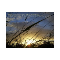 The Grass Withers posters by tmanipon The Grass Withers posters