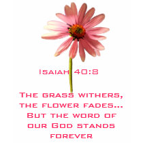 The Grass Withers, The Flower Fades... t-shirts