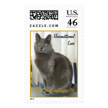 The Gray House Puma, UnconditionalLove, Spay or... Stamps