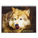 The Gray Wolves of Yellowstone calendars by mrsmas The Gray Wolves of Yellowstone calendars