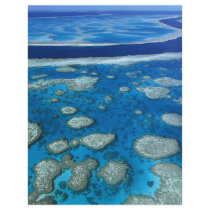 The Great Barrier Reef flyers by petermcc The Great Barrier Reef flyers