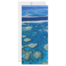 The Great Barrier Reef Rack Card