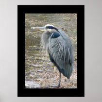 The Great Blue Heron Print