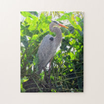 The Great Blue Heron Puzzle puzzles