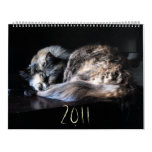 The Great Cat Menace calendars