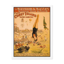 The Great Coney Island Water Carnival 2 Postcards