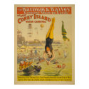 The Great Coney Island Water Carnival Poster posters