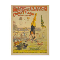 The Great Coney Island Water Carnival Poster postcards by ZephyrusBooks The Great Coney Island Water Carnival Poster postcards