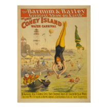 The Great Coney Island Water Carnival Poster posters