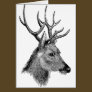 The great deer buck