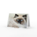 "THE GREAT GATSBY" Greeting Card
