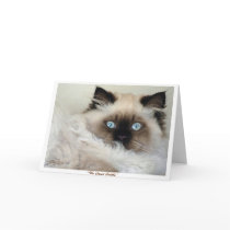 "THE GREAT GATSBY" Greeting & Note Cards