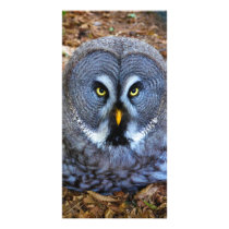 The Great Grey Owl Strix Nebulosa Lapland Owl Photo Card