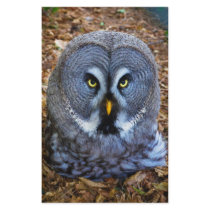 The Great Grey Owl Strix Nebulosa Lapland Owl Custom Stationery