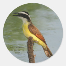 The Great Kiskadee Round Stickers