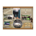 The Great Outdoors in Alaska postcard