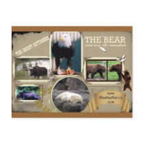 The Great Outdoors in Alaska Postcards
