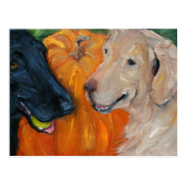 The Great Pumpkin Post Card postcards
