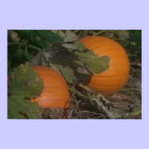 The Great Pumpkins posters