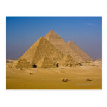 The Great Pyramids of Giza, Egypt Post Cards