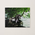 The Great River Divide Puzzle puzzle
