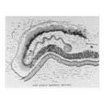 The Great Serpent Mound Postcards