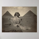 The Great Sphinx of Giza, Egypt - Poster posters