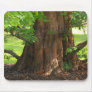 The Great Tree Mousepad