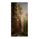 The Great Trees posters