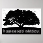 The Greatest Oak posters