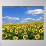 The_Greatness_of_Nature_(5) Posters