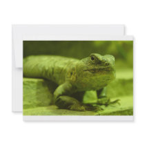 The Green Lizard invitations