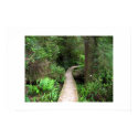 The green path posters